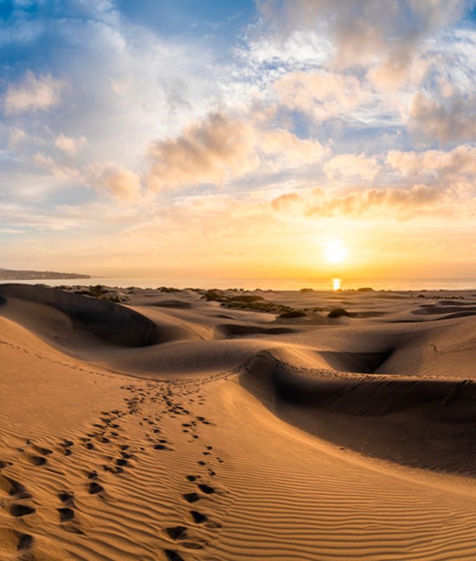 Concejalia Ciudadania – Coalicion Canaria